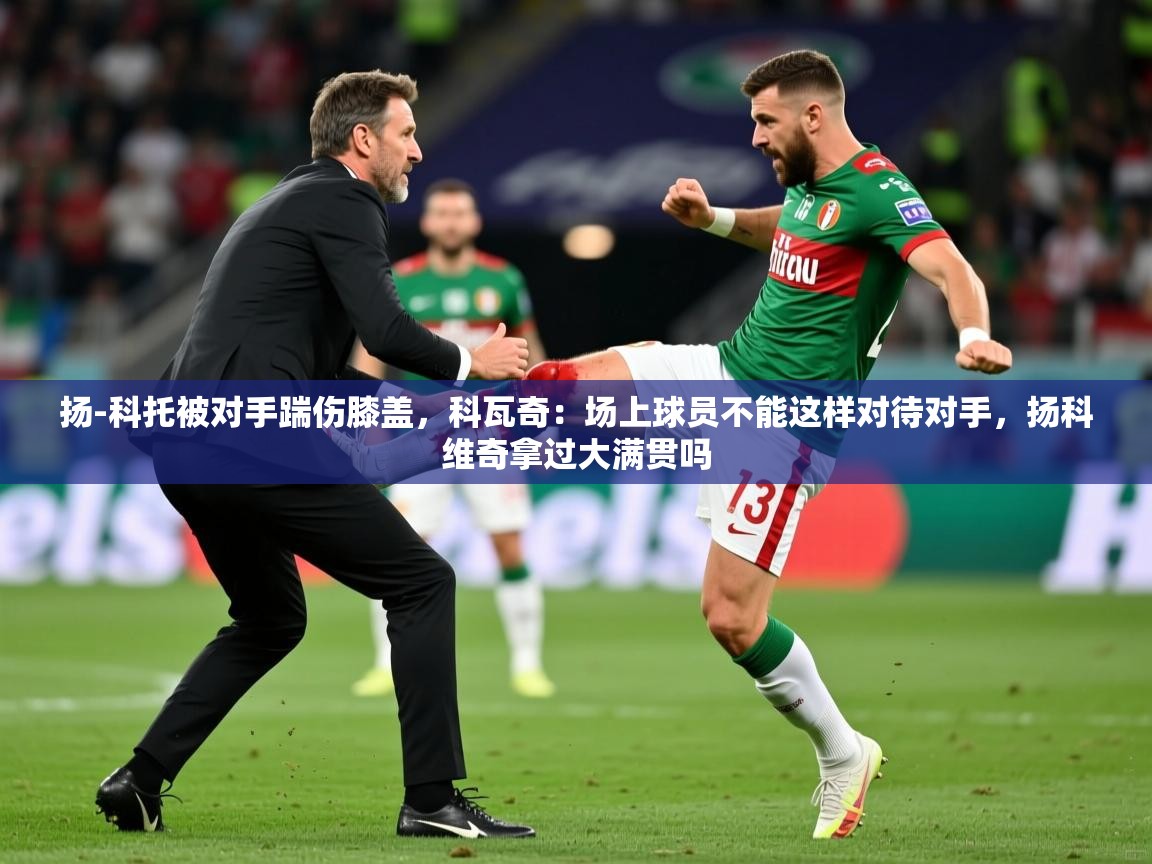 2025安博体育在线官网登录扬-科托被对手踹伤膝盖，科瓦奇：场上球员不能这样对待对手，扬科维奇拿过大满贯吗