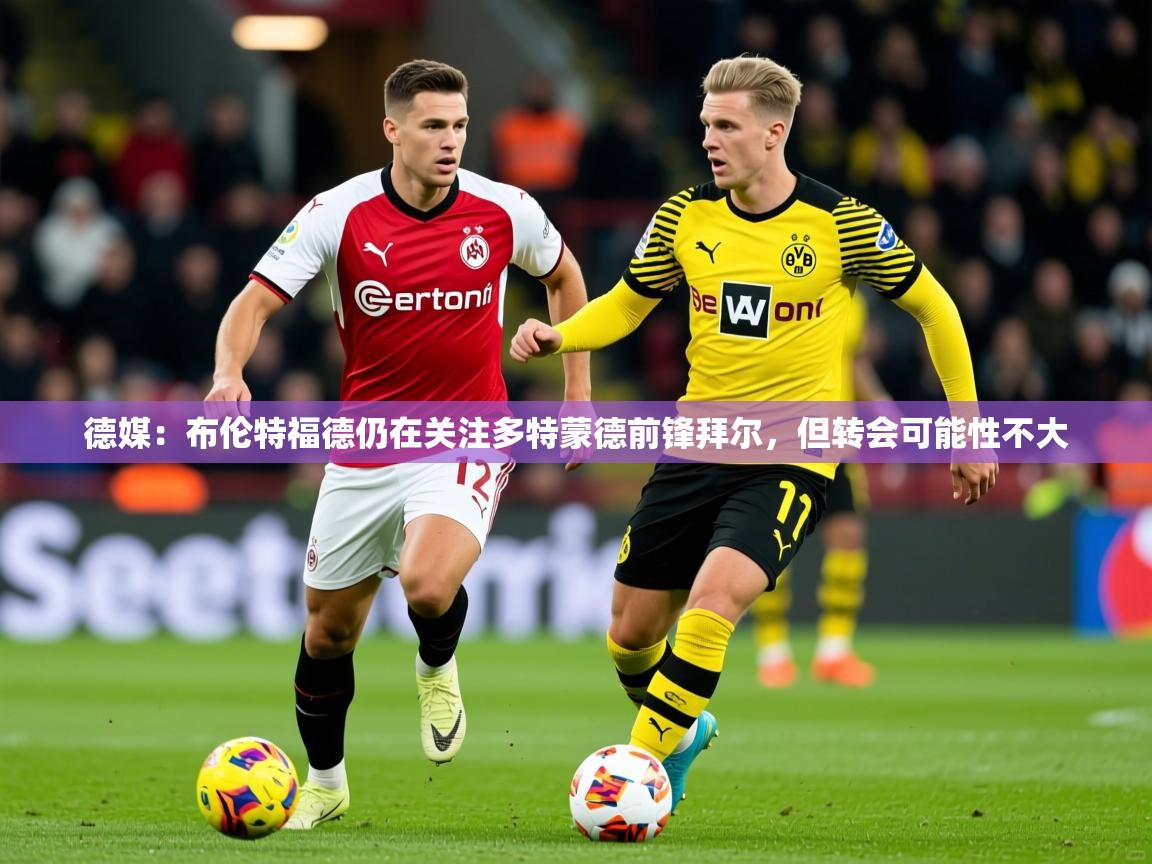2025安博体育app德媒：布伦特福德仍在关注多特蒙德前锋拜尔，但转会可能性不大  第4张