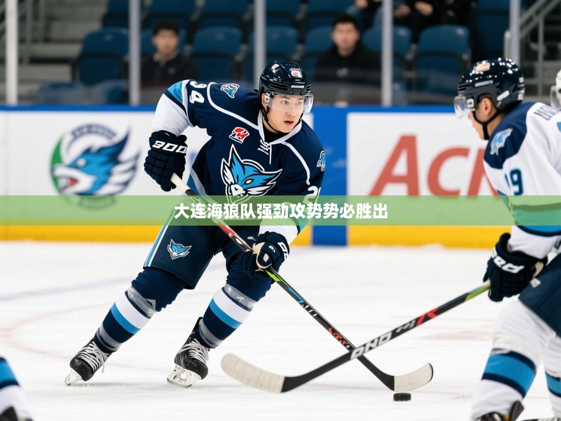 2026安博体育入口官网大连海狼队强劲攻势势必胜出  第1张
