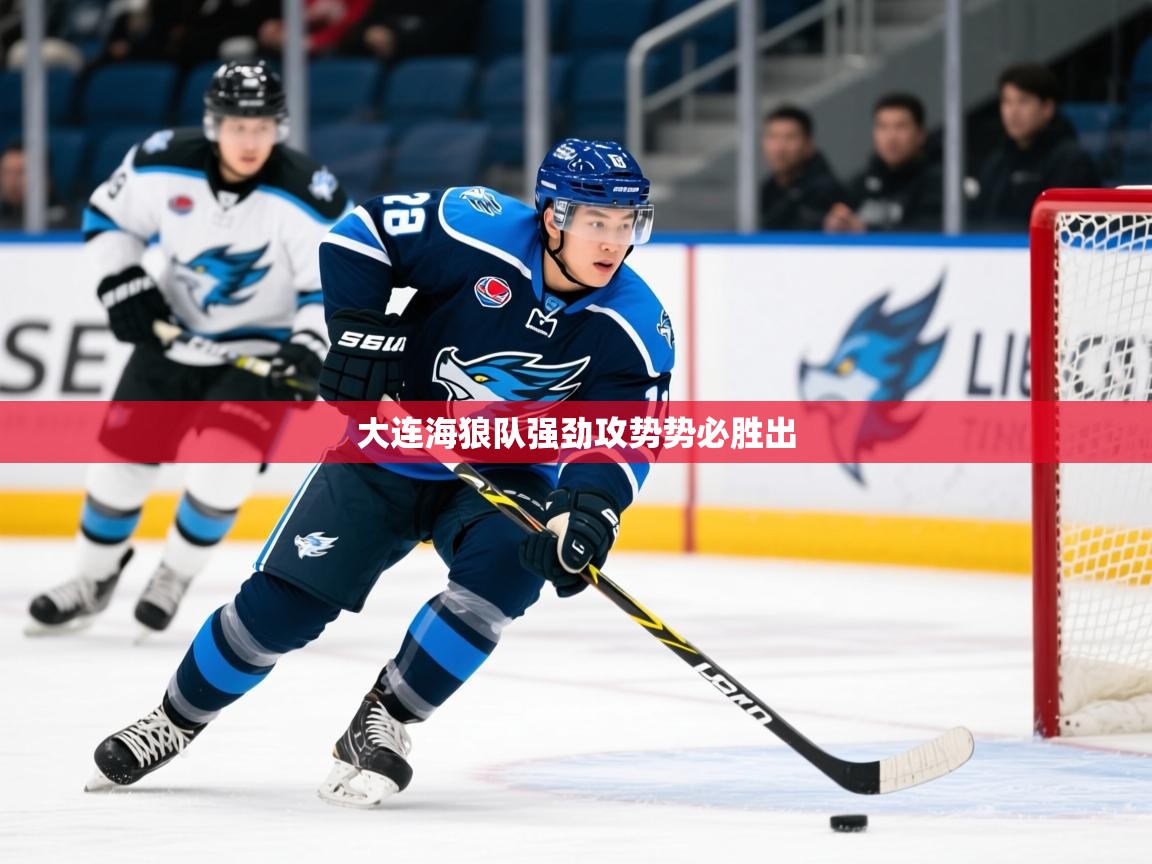 2026安博体育入口官网大连海狼队强劲攻势势必胜出  第3张