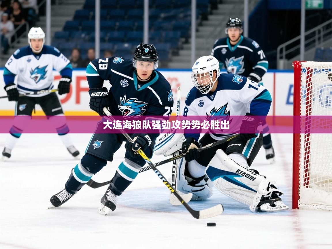 2026安博体育入口官网大连海狼队强劲攻势势必胜出  第4张