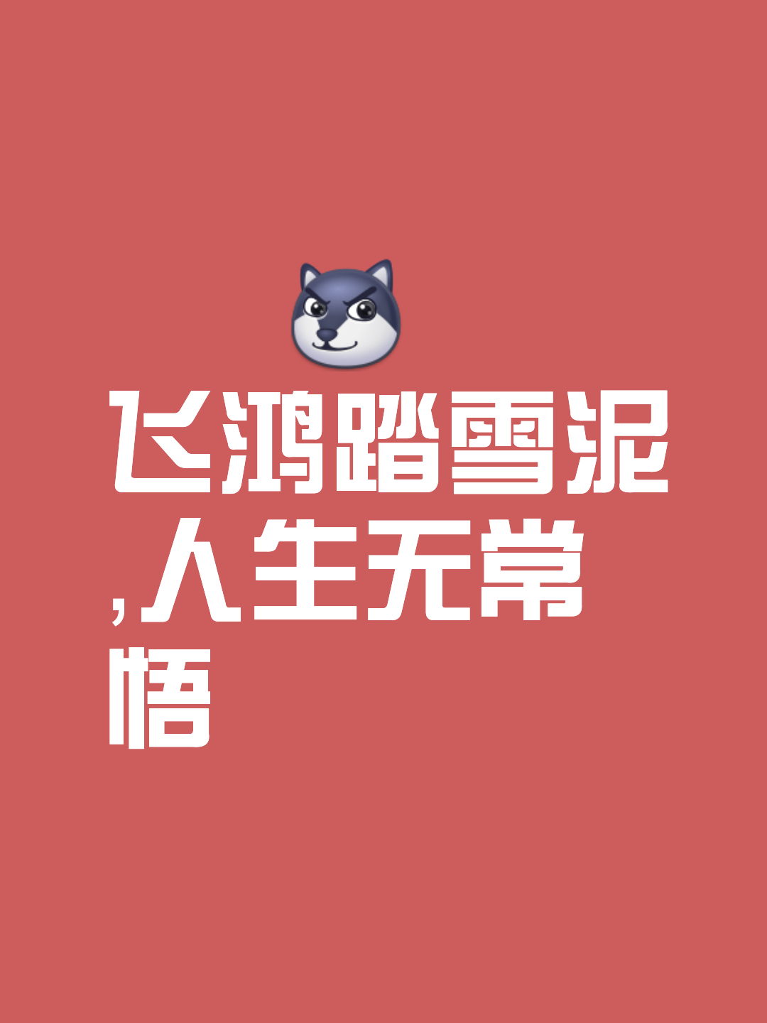 游刃有余！全队志在必得，不负众望